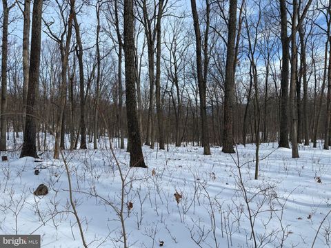 Lot 6 PAULS WOODS RD DELRAY WV 26714