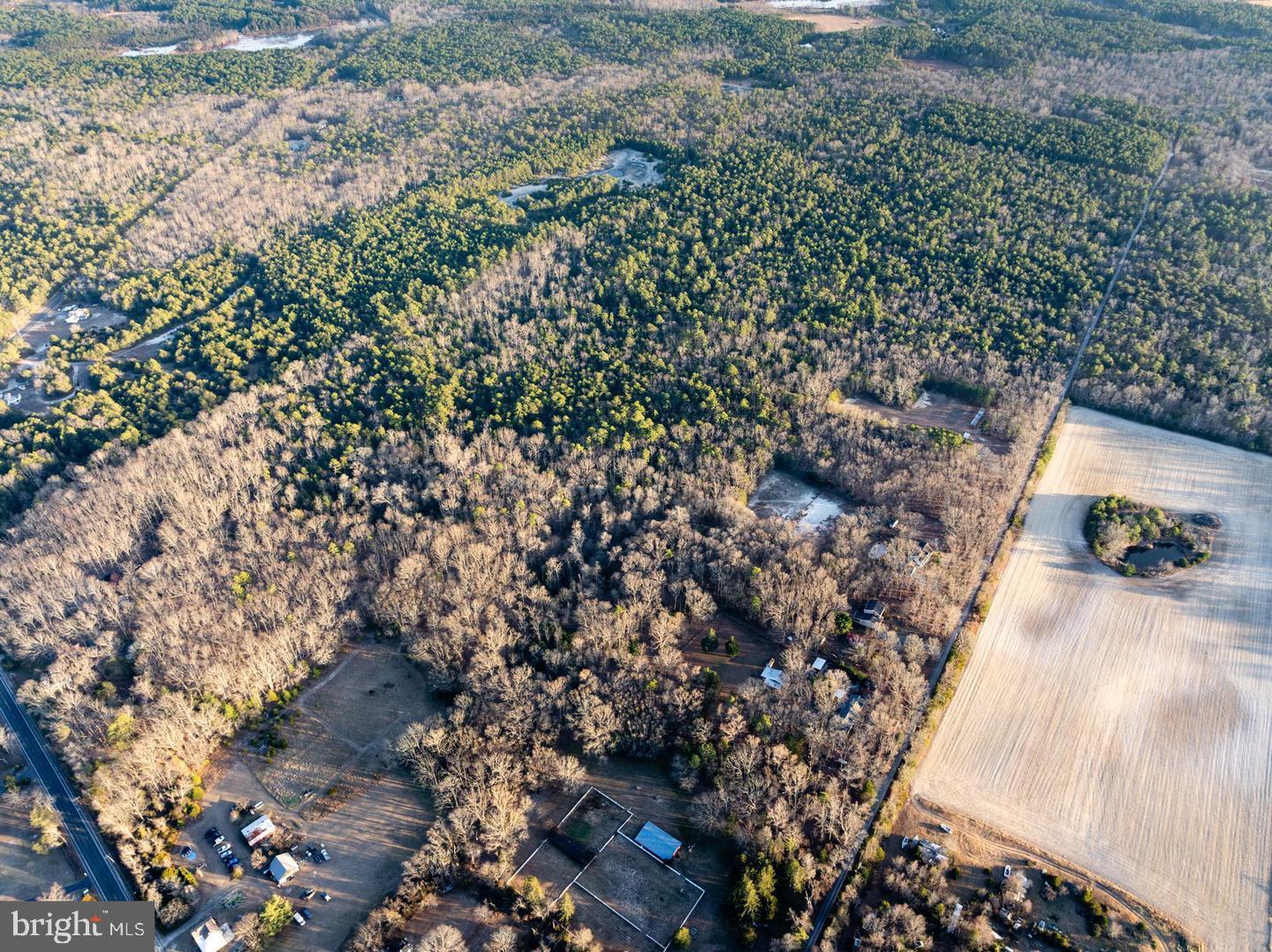 0 BUTTERWORTH'S BOGS