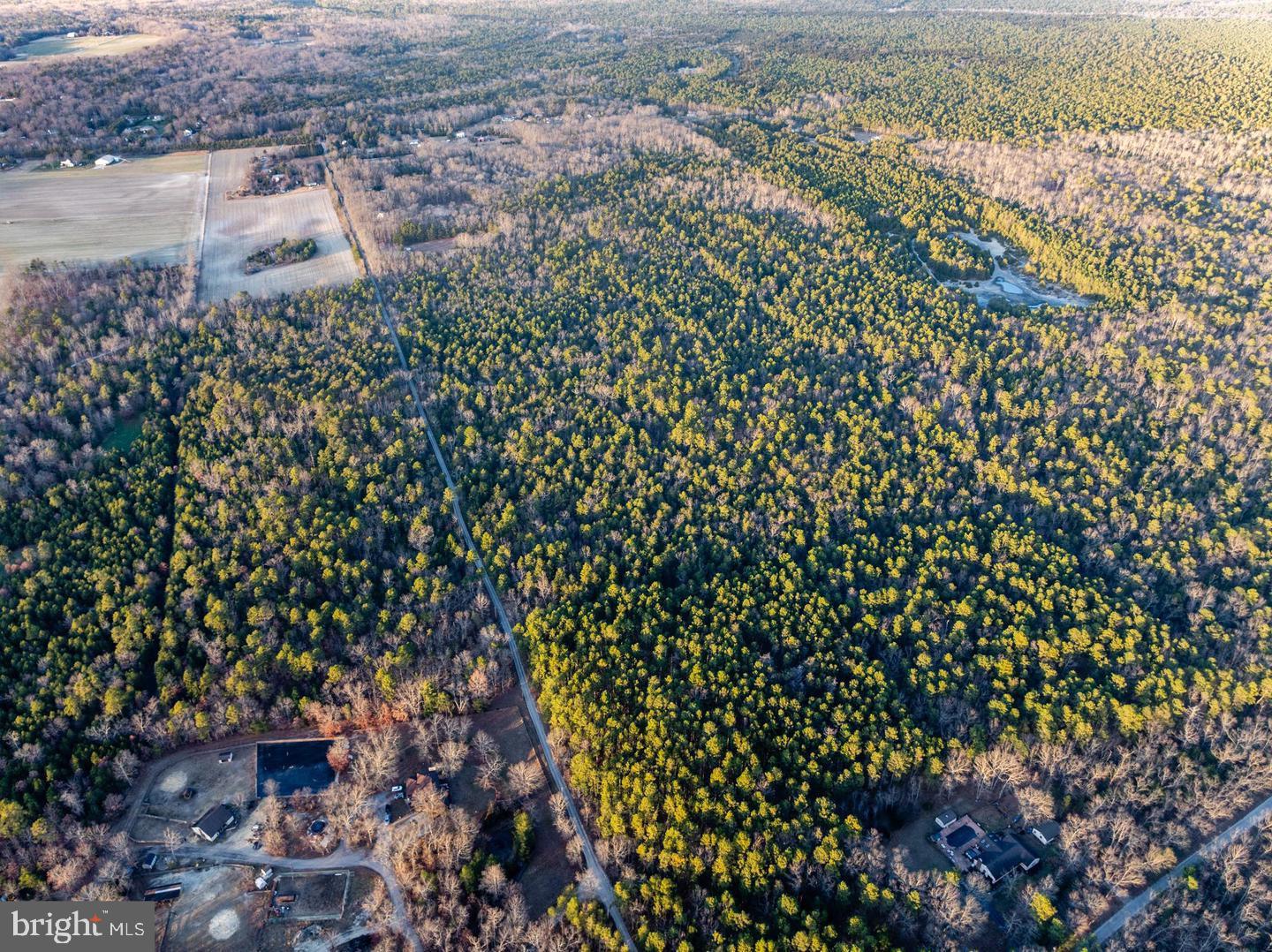 0 BUTTERWORTH'S BOGS