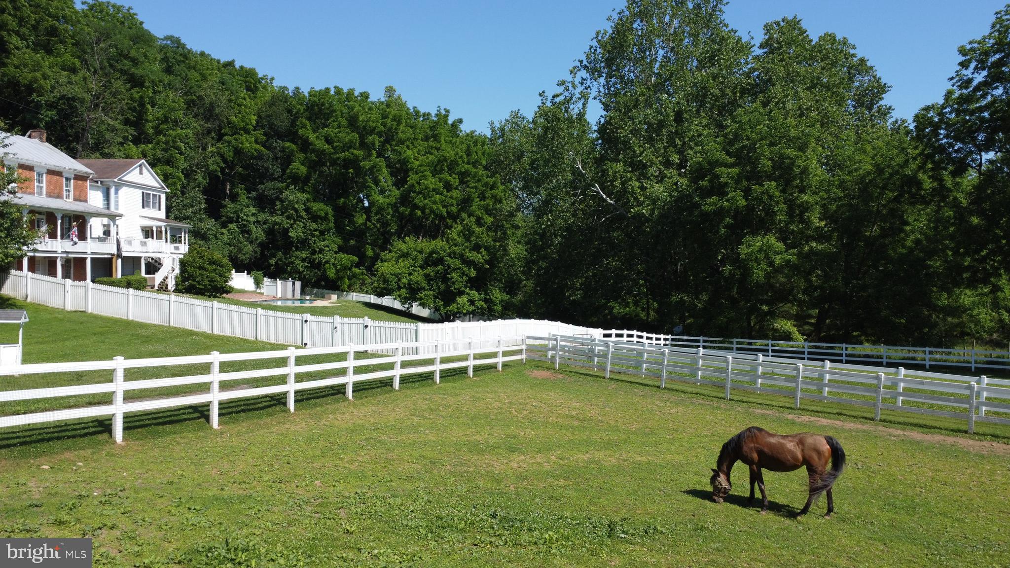 NONE AVAILABLE - Farm