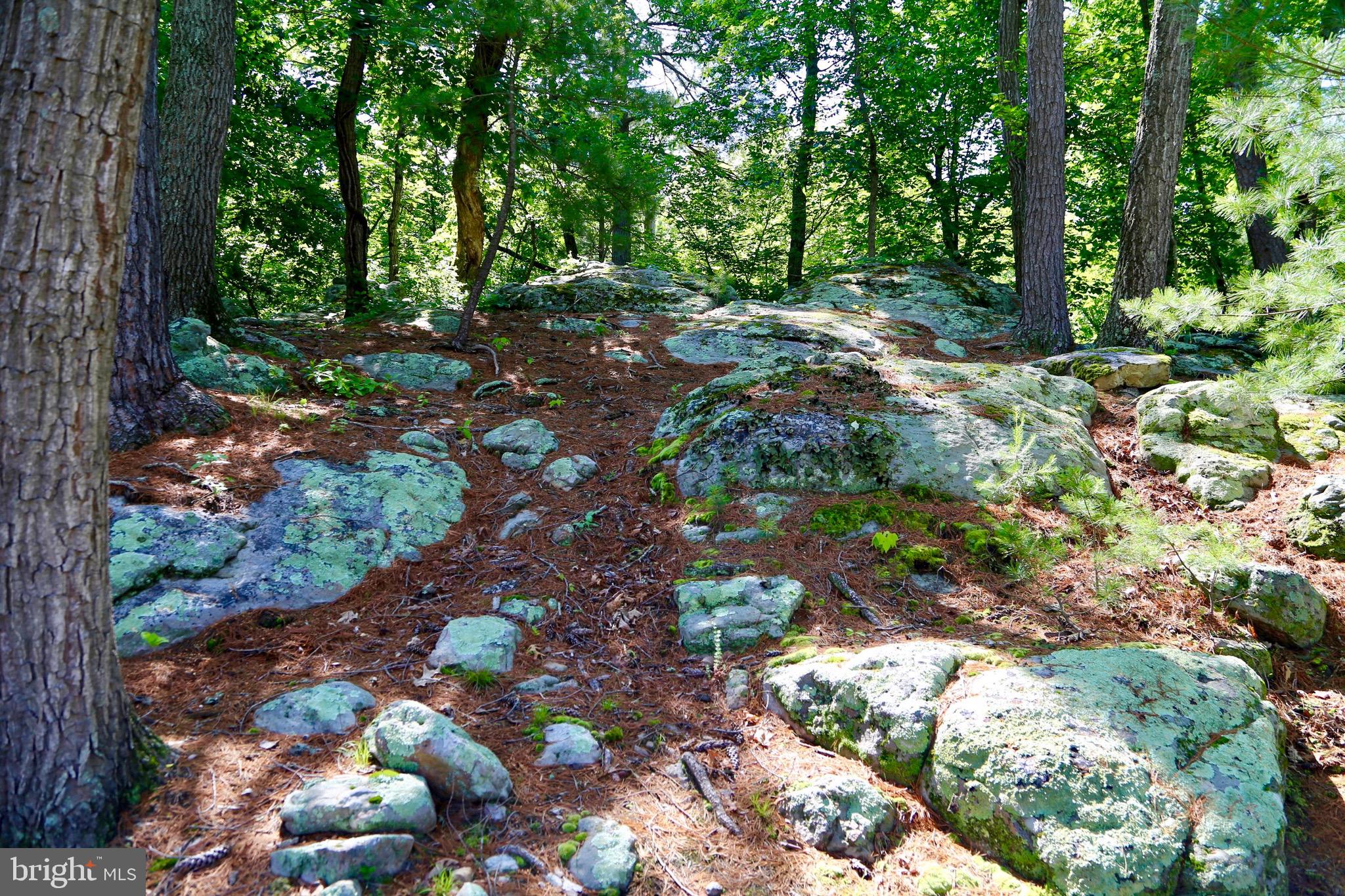 MILL BRANCH - Residential