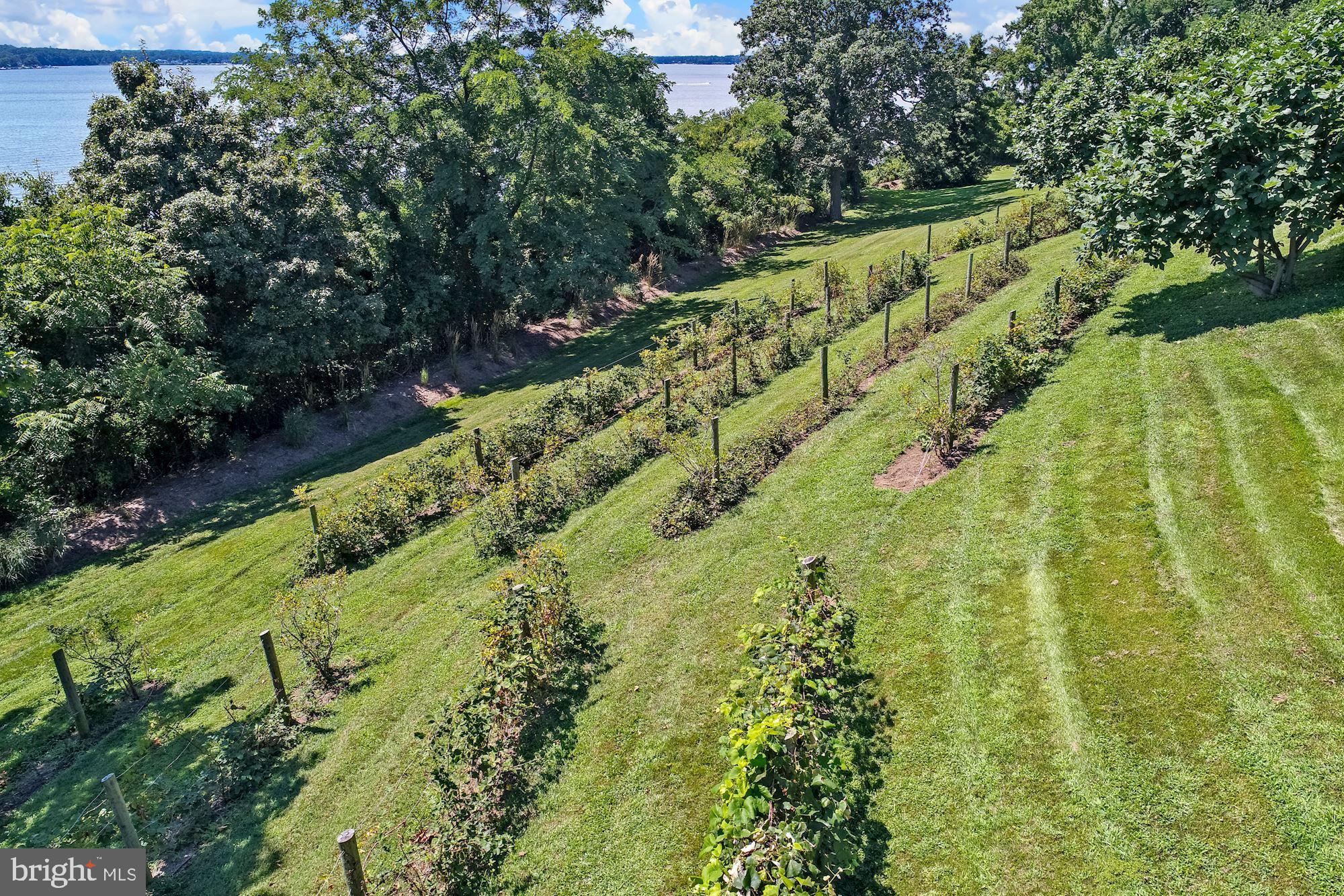 GIBSON ISLAND - Residential