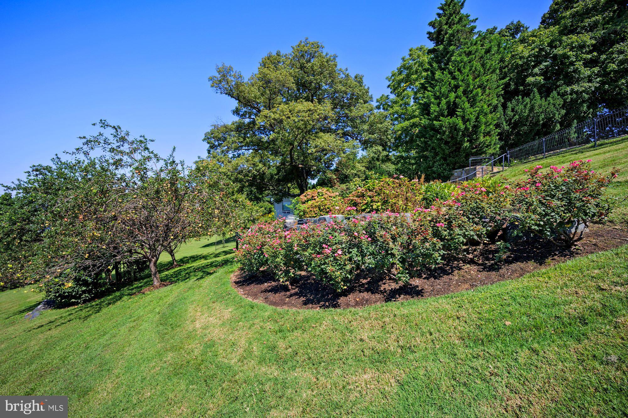 GIBSON ISLAND - Residential