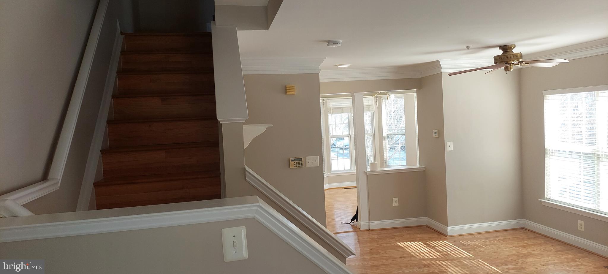 FOUNTAIN HILLS - Residential Lease