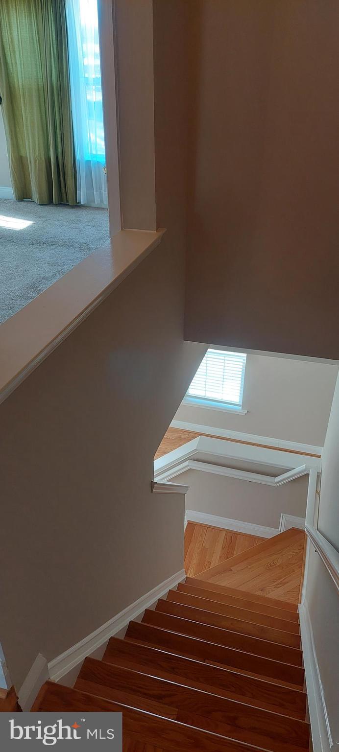 FOUNTAIN HILLS - Residential Lease