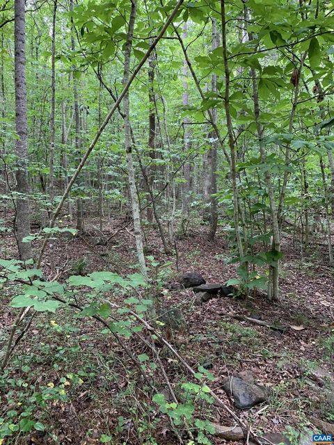 Vacant Land For Sale - Glade Rd<br/> SCHUYLER, VA 22969