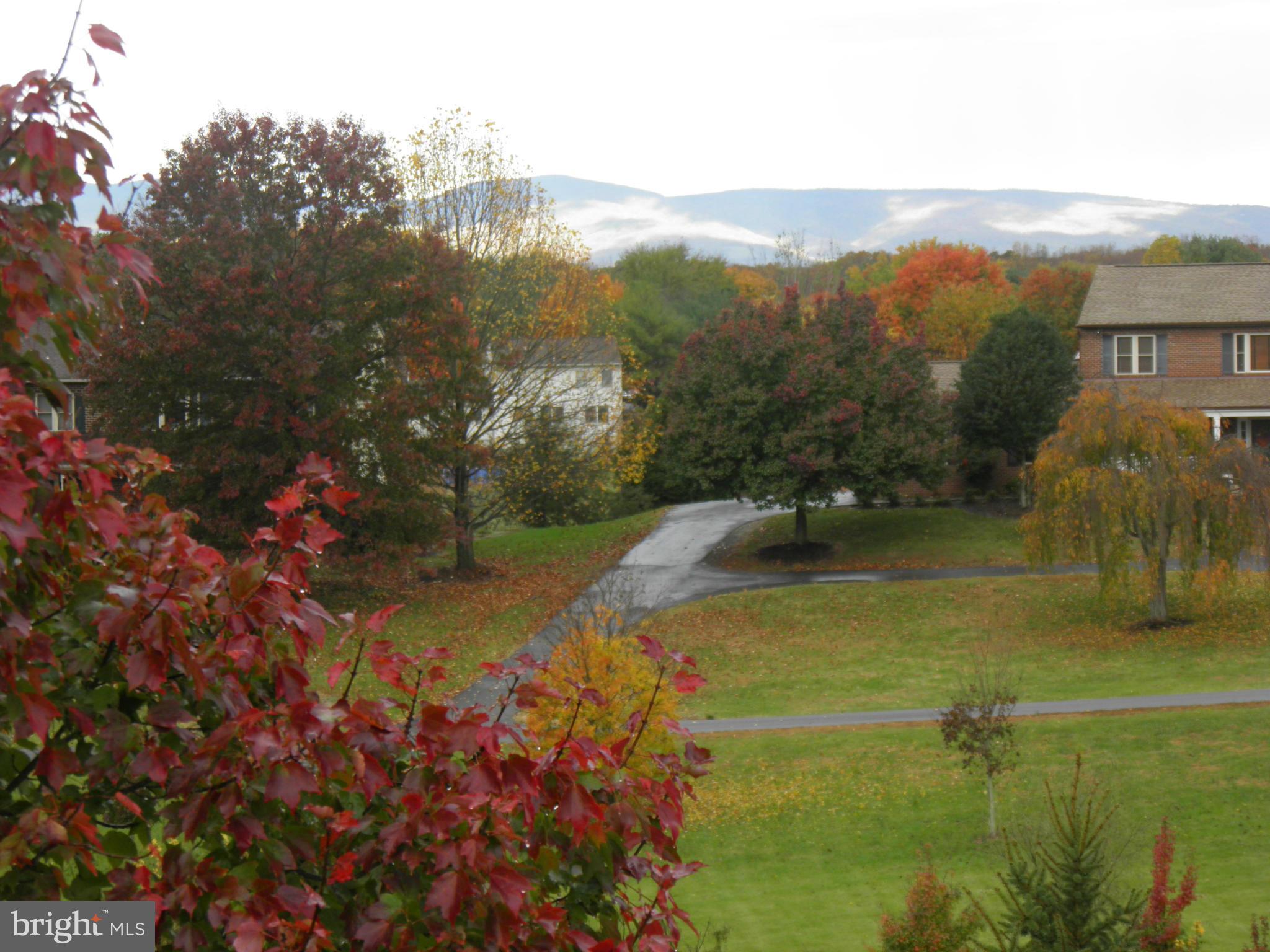 ENGLISH MEADOWS - Residential