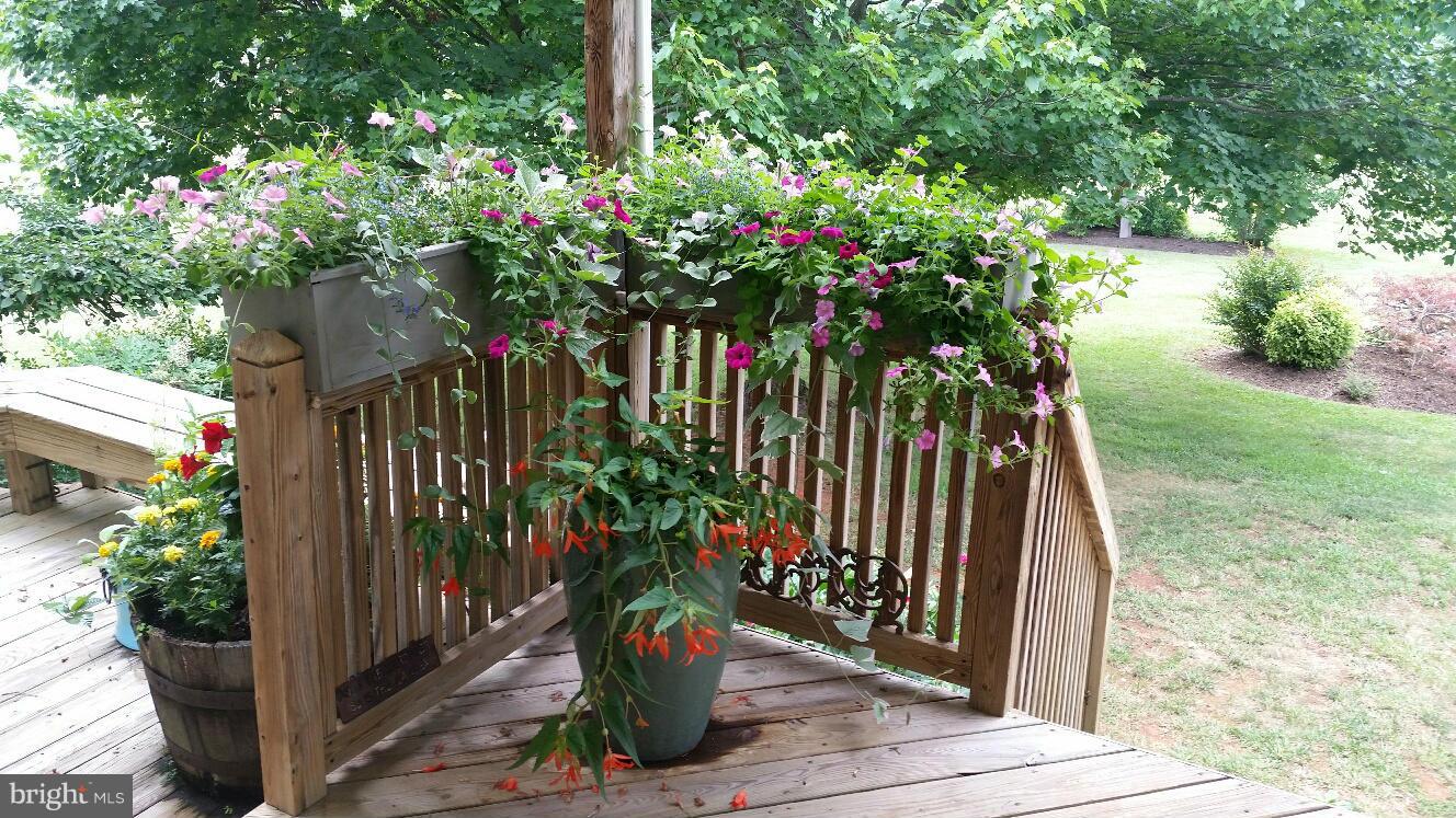 ENGLISH MEADOWS - Residential