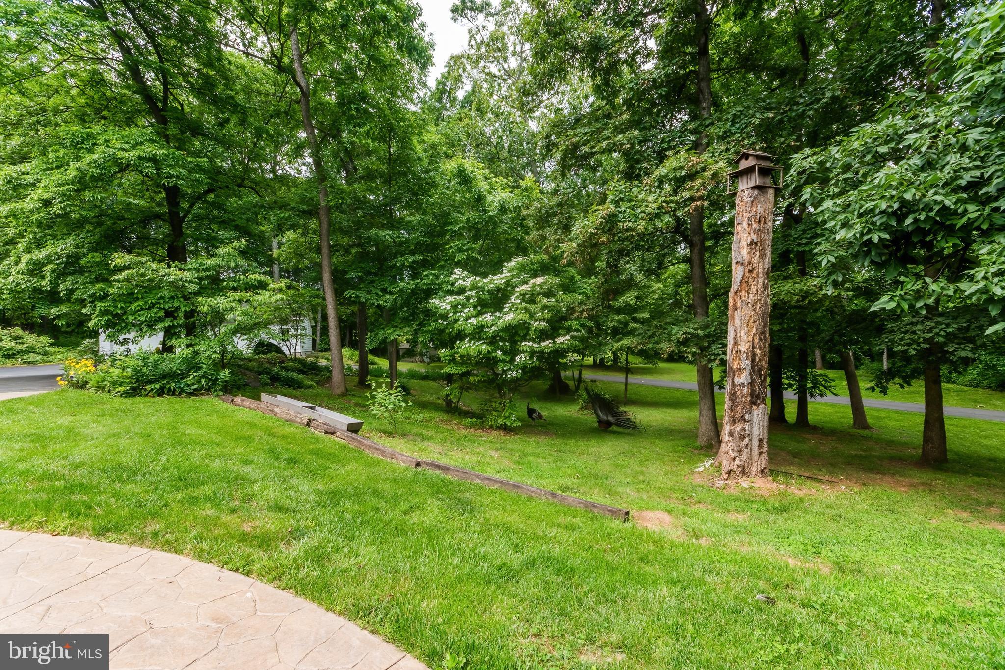 SHERIDANS MISS - Residential