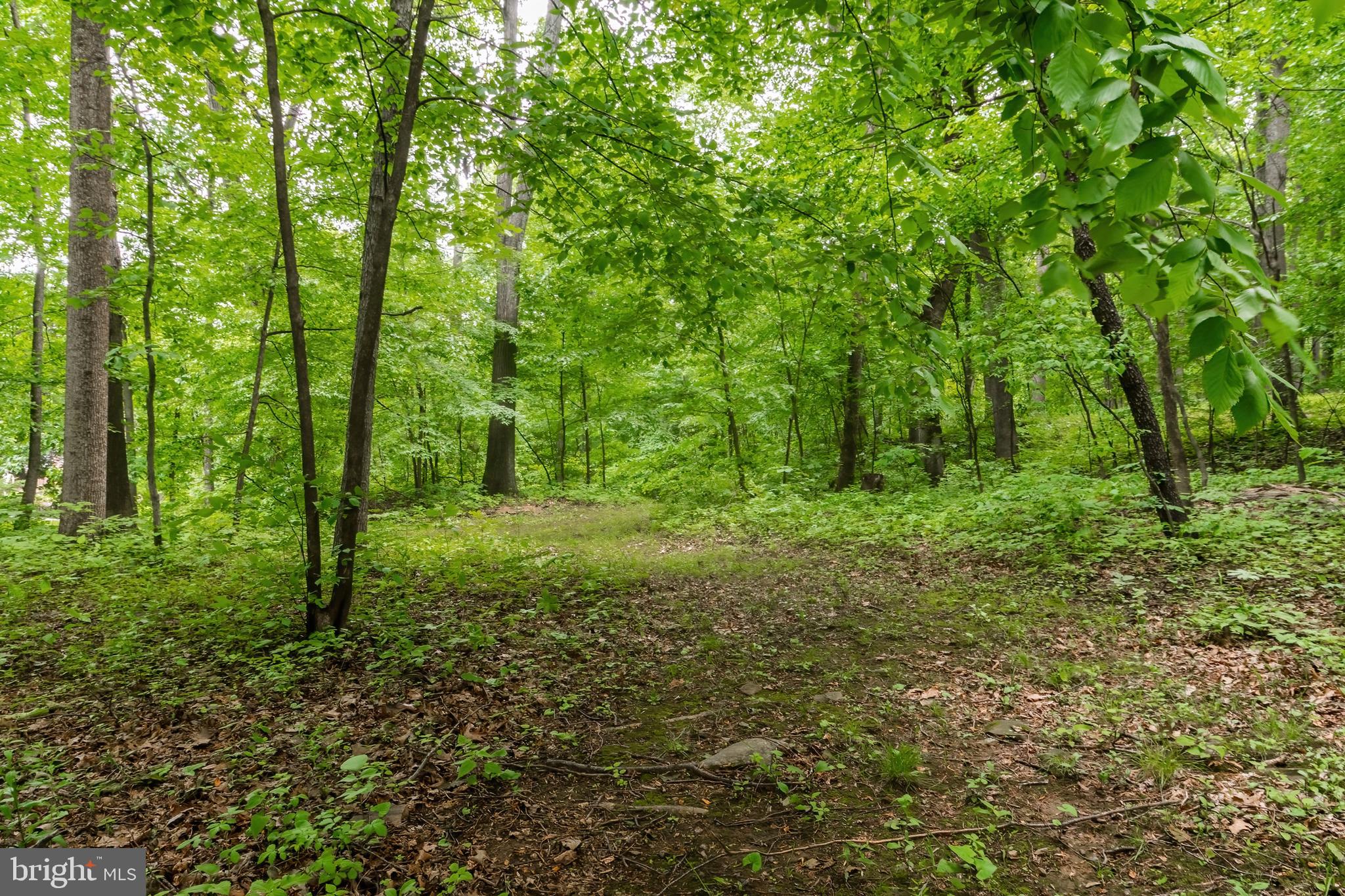 SHERIDANS MISS - Residential