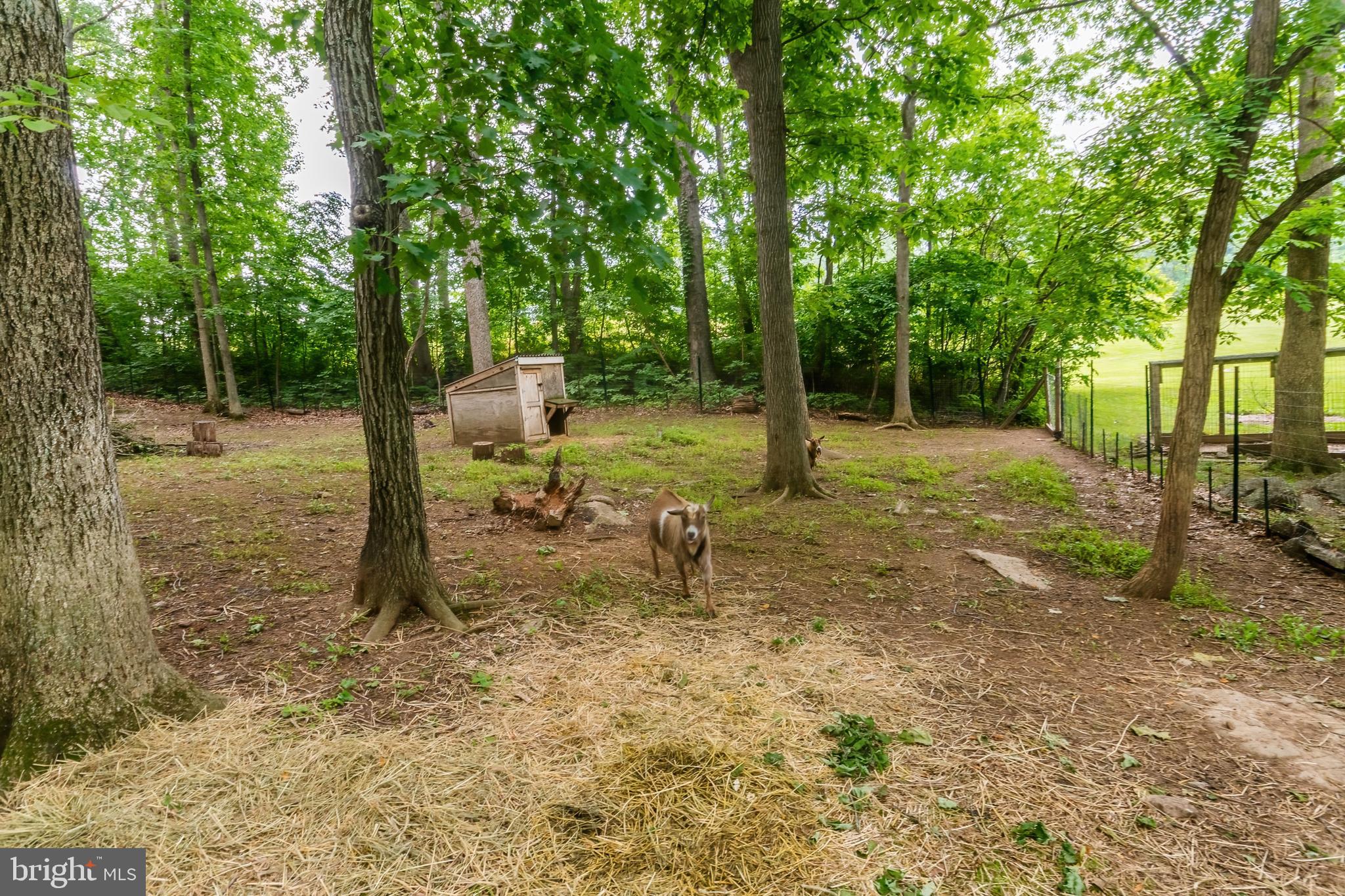 SHERIDANS MISS - Residential