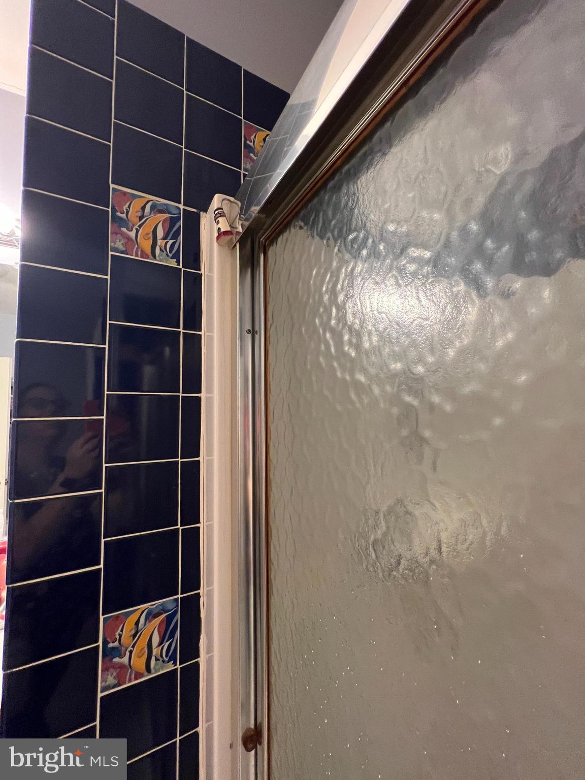 THE VILLAGE AT WAUGH CHAPEL - Residential