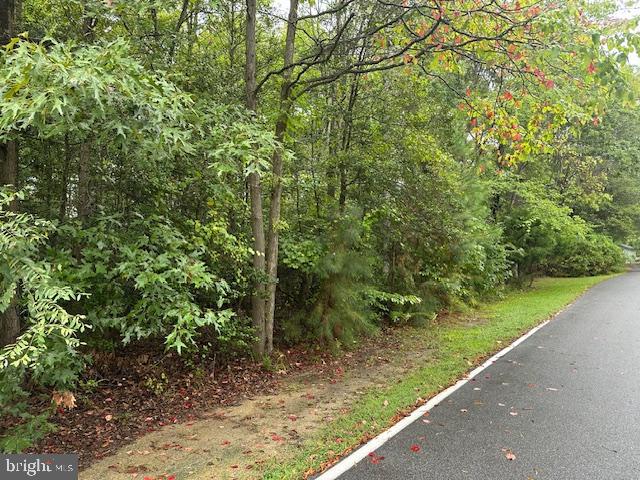 45410 CLARKS MILL ROAD