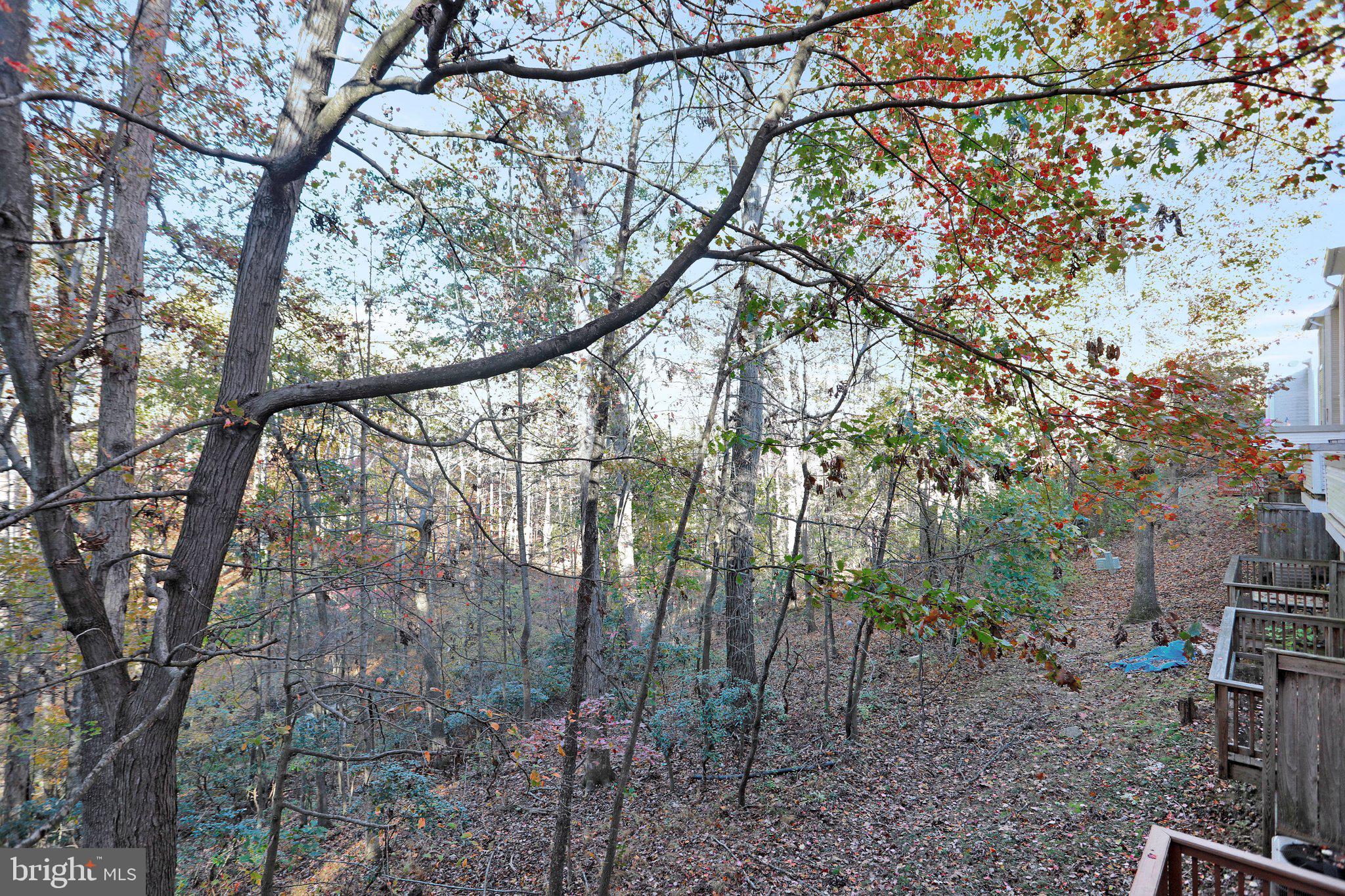 FOREST BROOKE - Residential