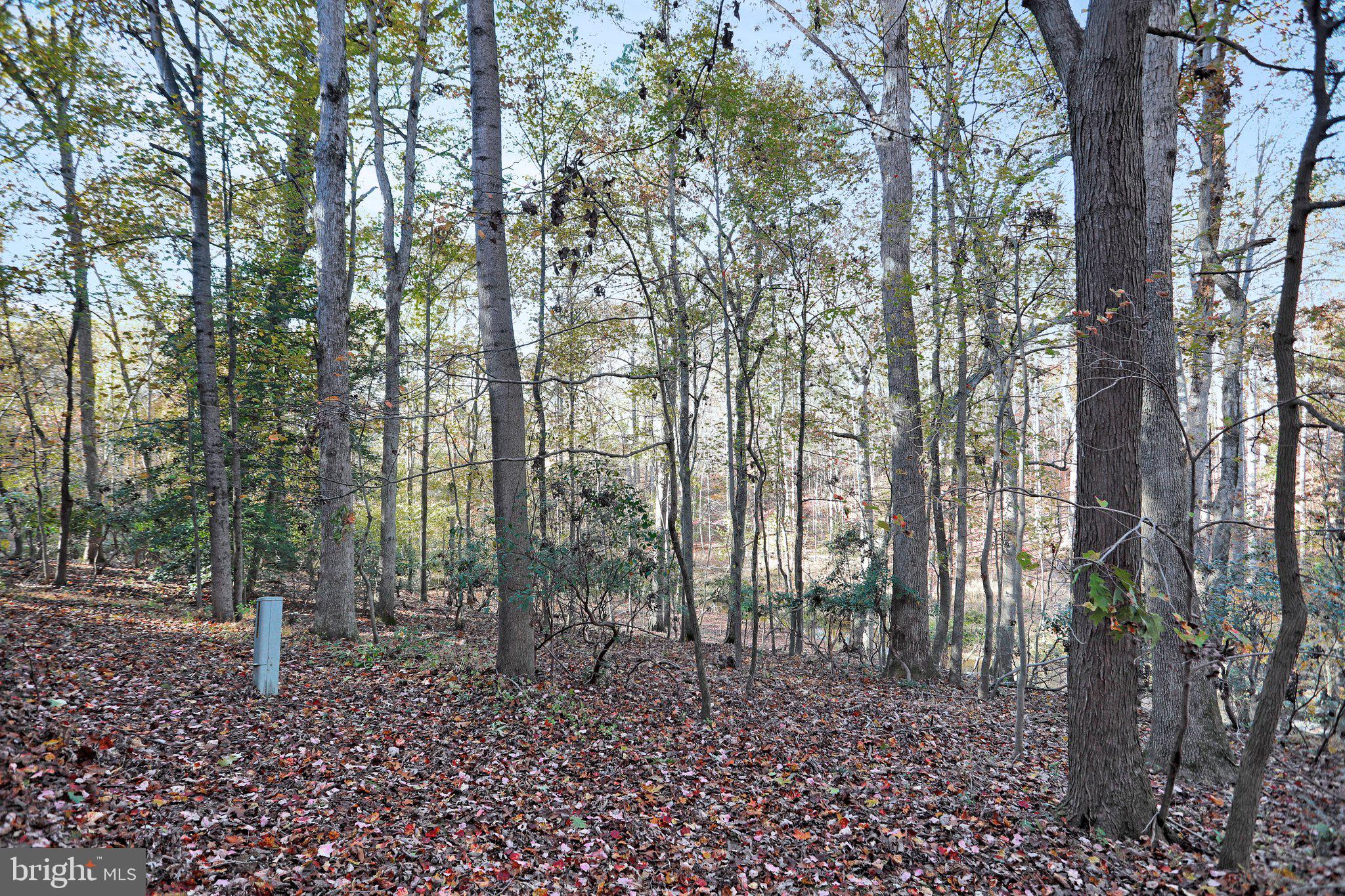 FOREST BROOKE - Residential