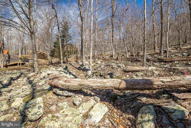 MASSANUTTEN - Residential