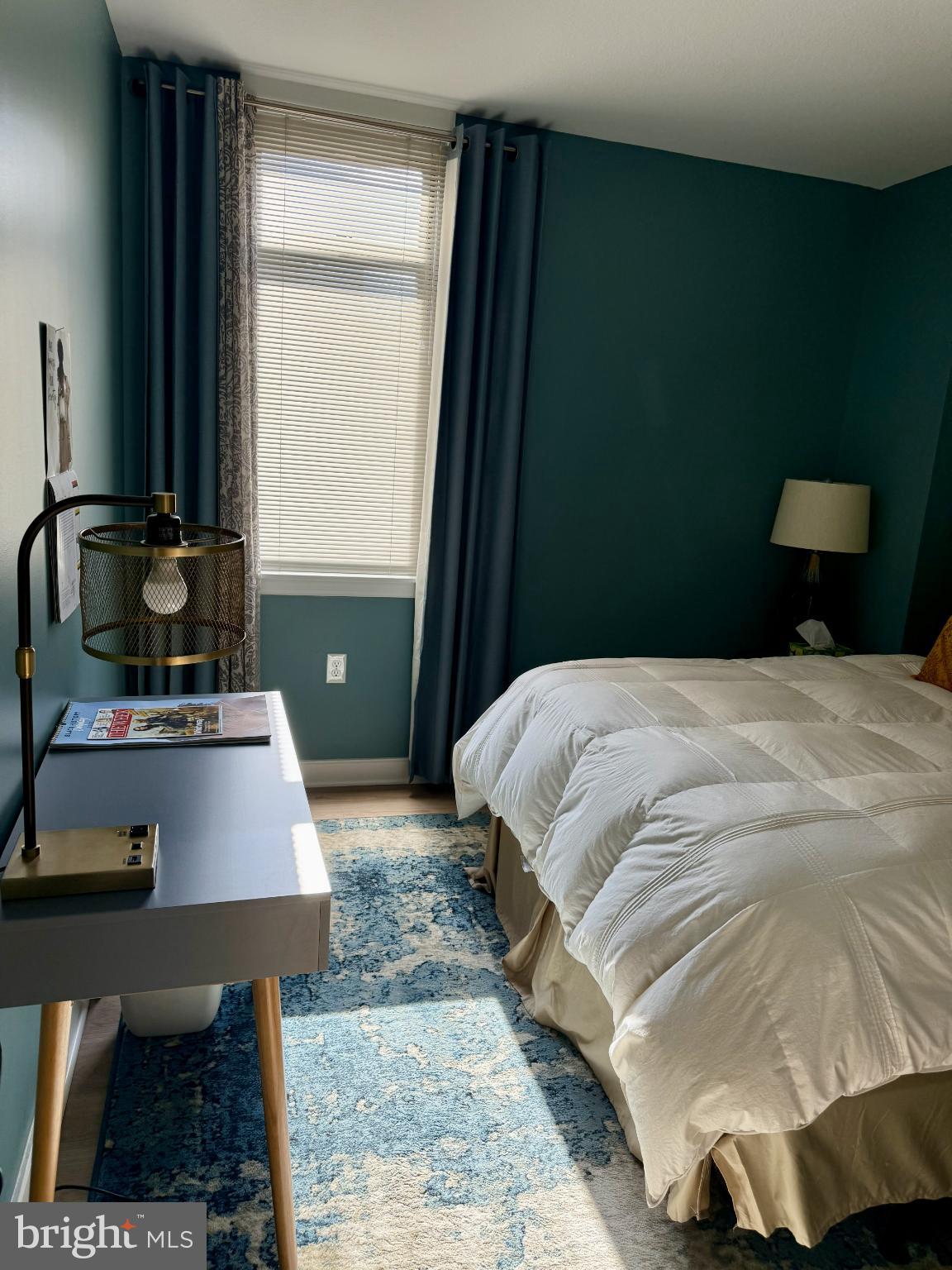 1117 10TH STREET NW 301