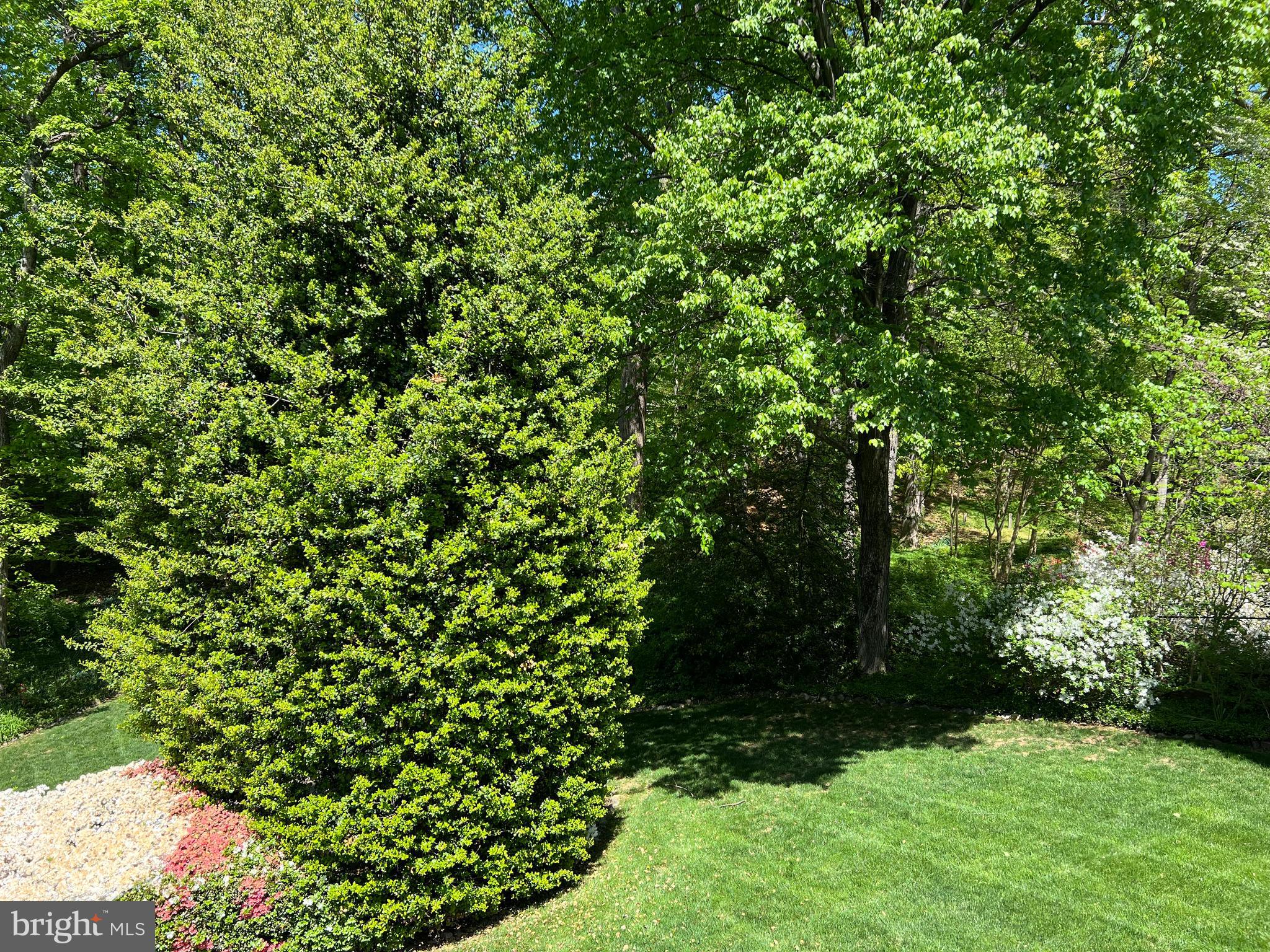 BANNOCKBURN - Residential