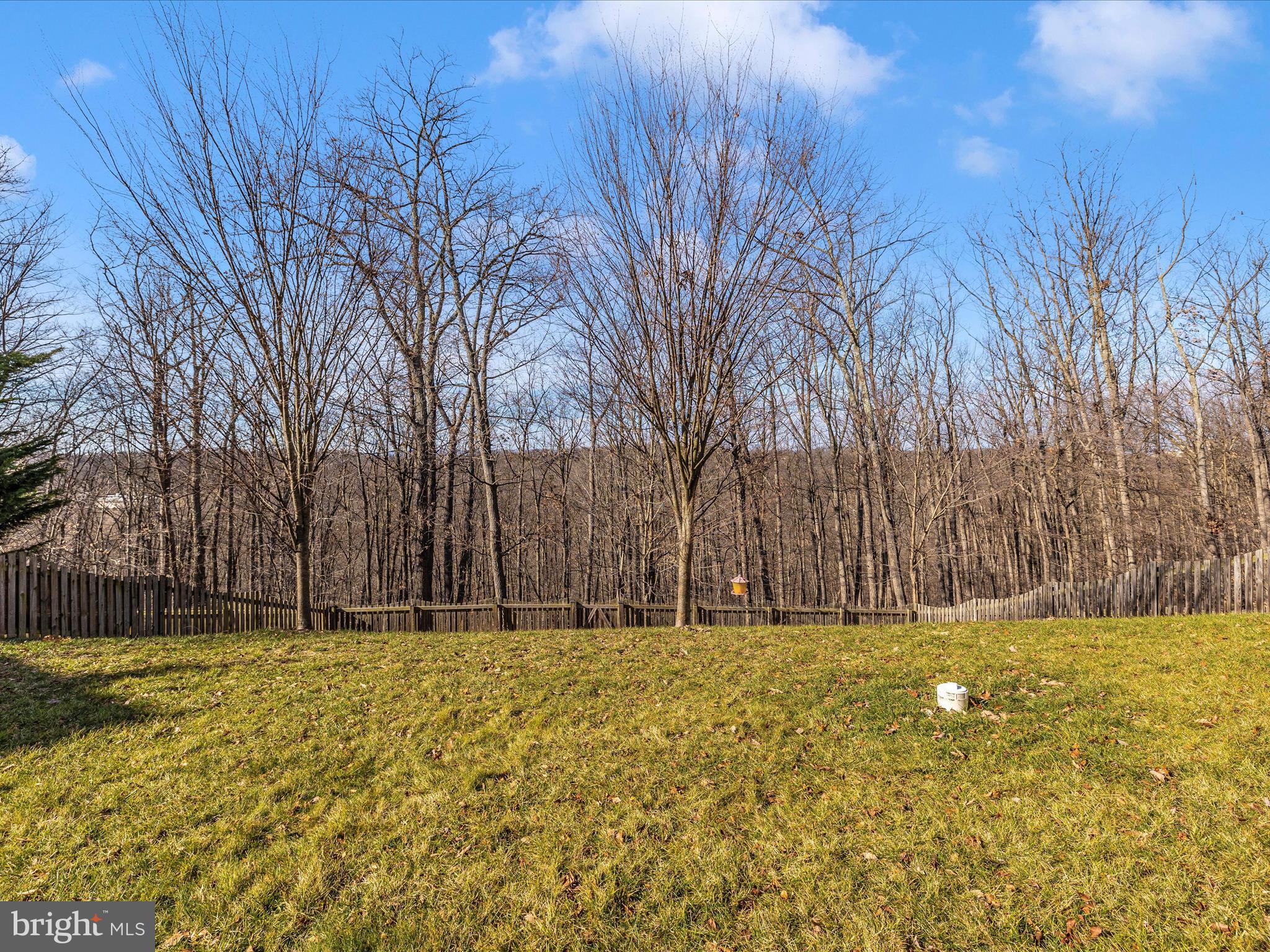 EAGLEHEAD WOODRIDGE - Residential