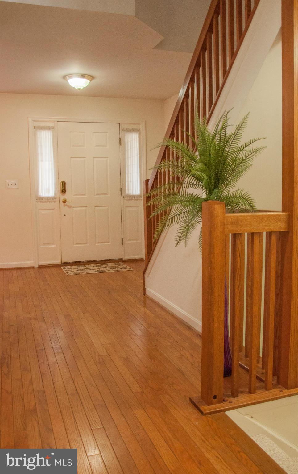 RIVA TRACE - Residential