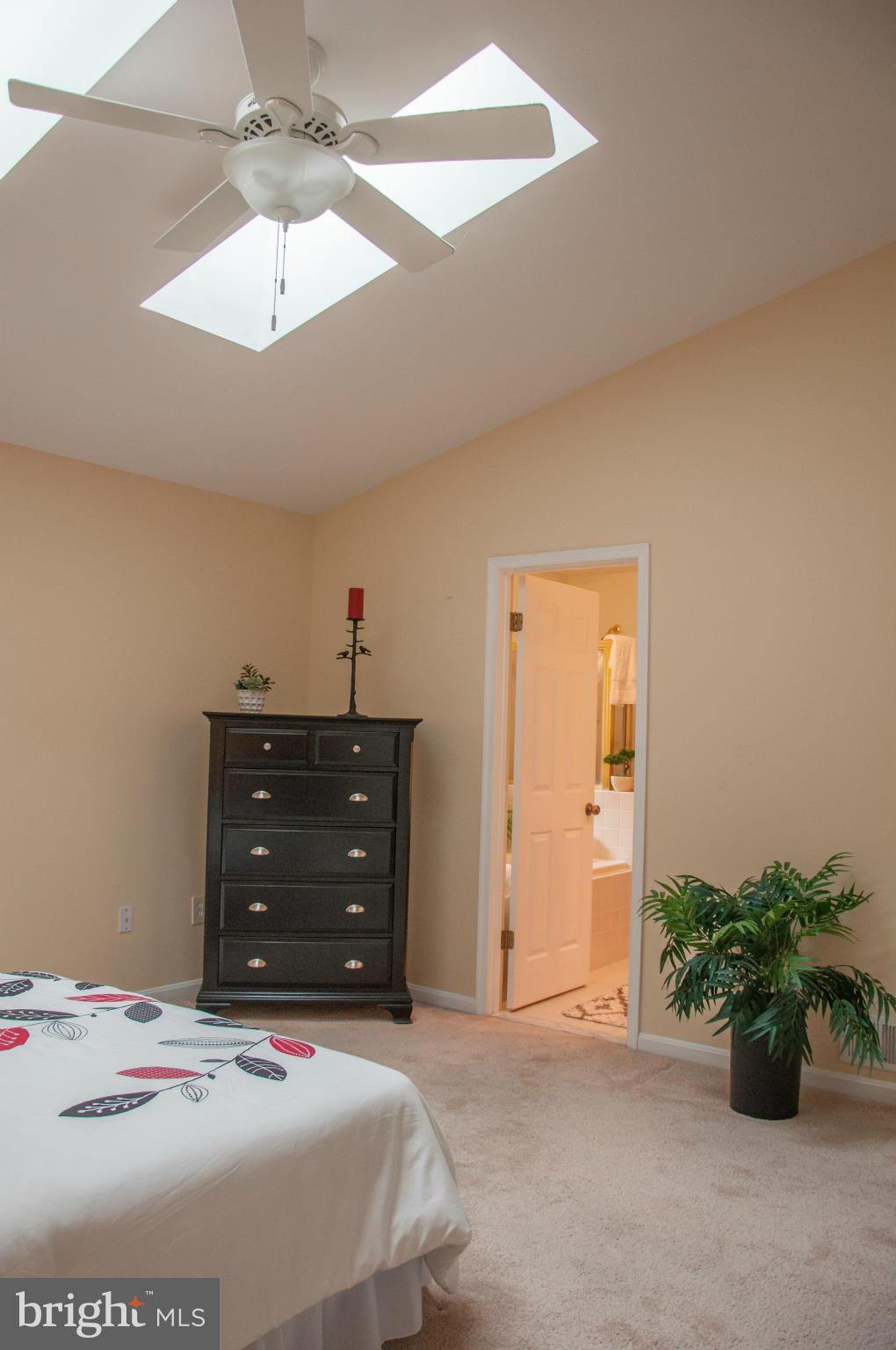 RIVA TRACE - Residential