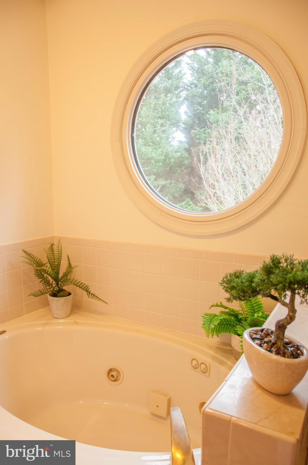 RIVA TRACE - Residential