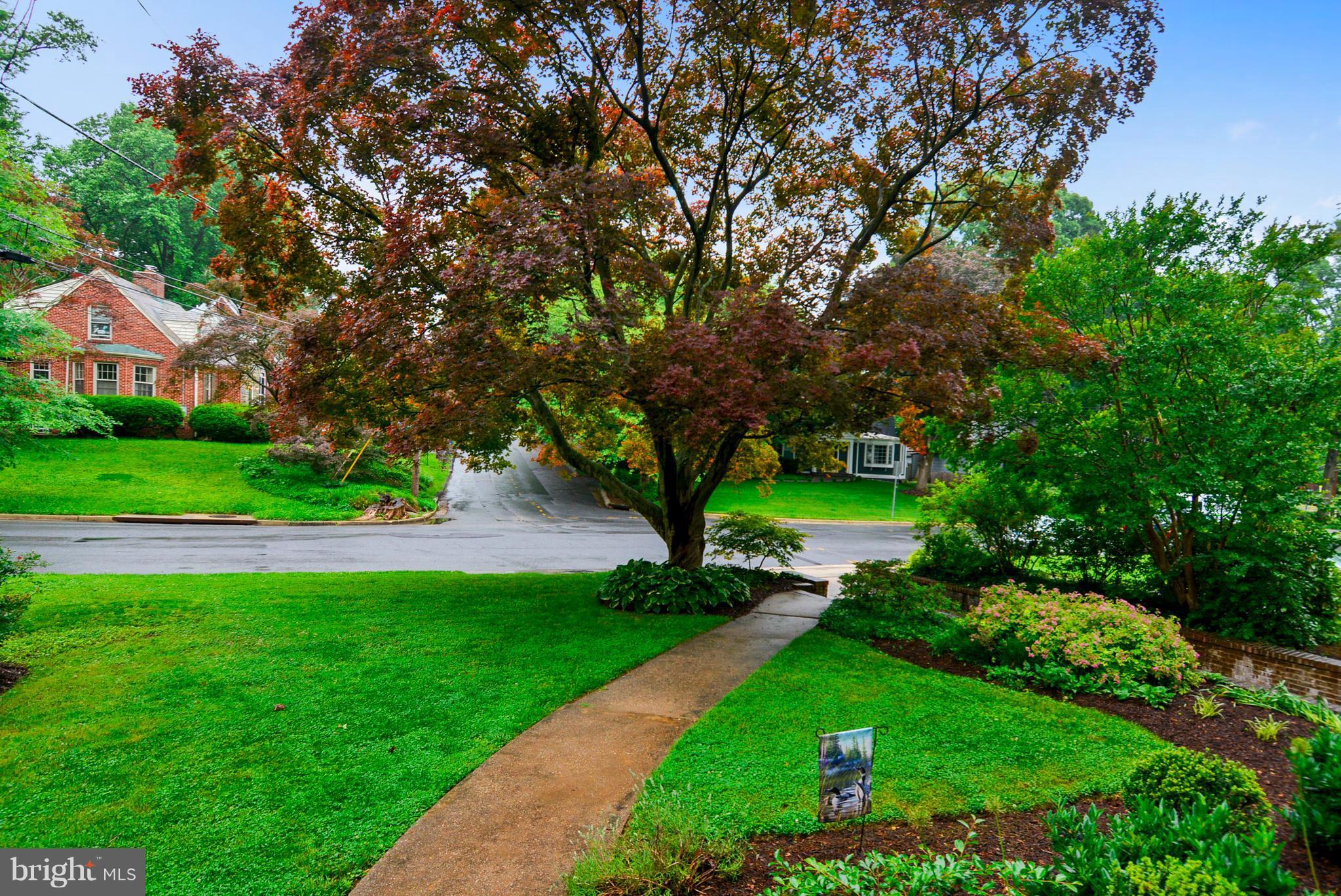 SOUTH WOODSIDE PARK - Residential