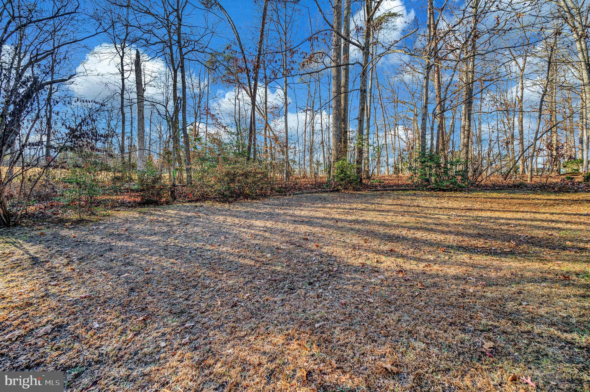 LAKE OF THE WOODS - Residential