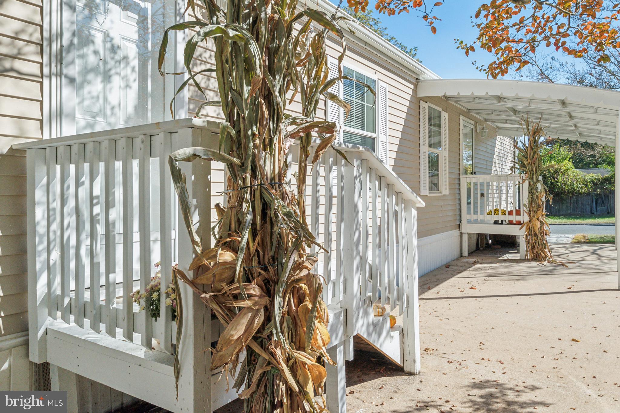 BEECHWOOD - Residential