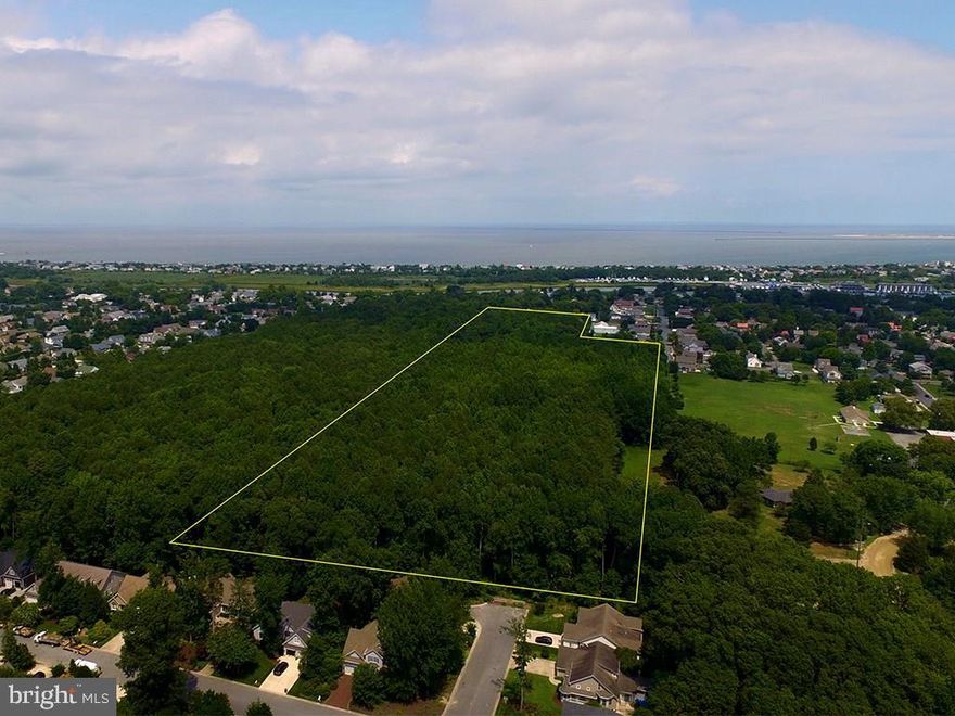 Rare development opportunity in-town Lewes. Final approval has been received for Highland Heights, the 34 single family building lot community being sold approved/unimproved. Average lot size is over 1/4 acre with public water & sewer. Site plan consists of 3 cul-de-sac streets offering privacy & a wooded walking trail. Highland Heights is located within a 1/4 mile of the Lewes Rehoboth Canal, 2nd street shopping/dining, & located within 2 miles of Lewes Beach, Delaware Bay & Cape Henlopen State Park. Lewes is a year-round resort community with extremely high demand and a low supply of building lots.