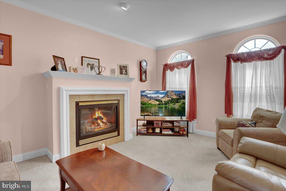 7 BANCROFT TERRACE