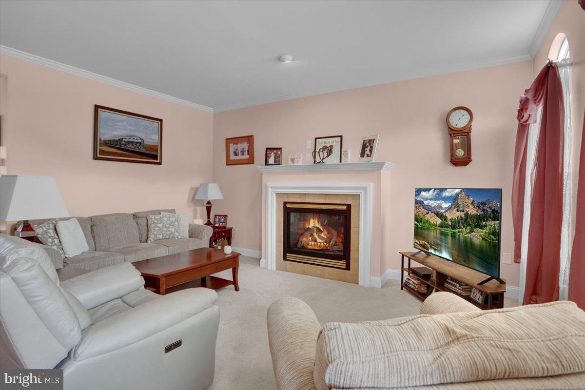 7 BANCROFT TERRACE