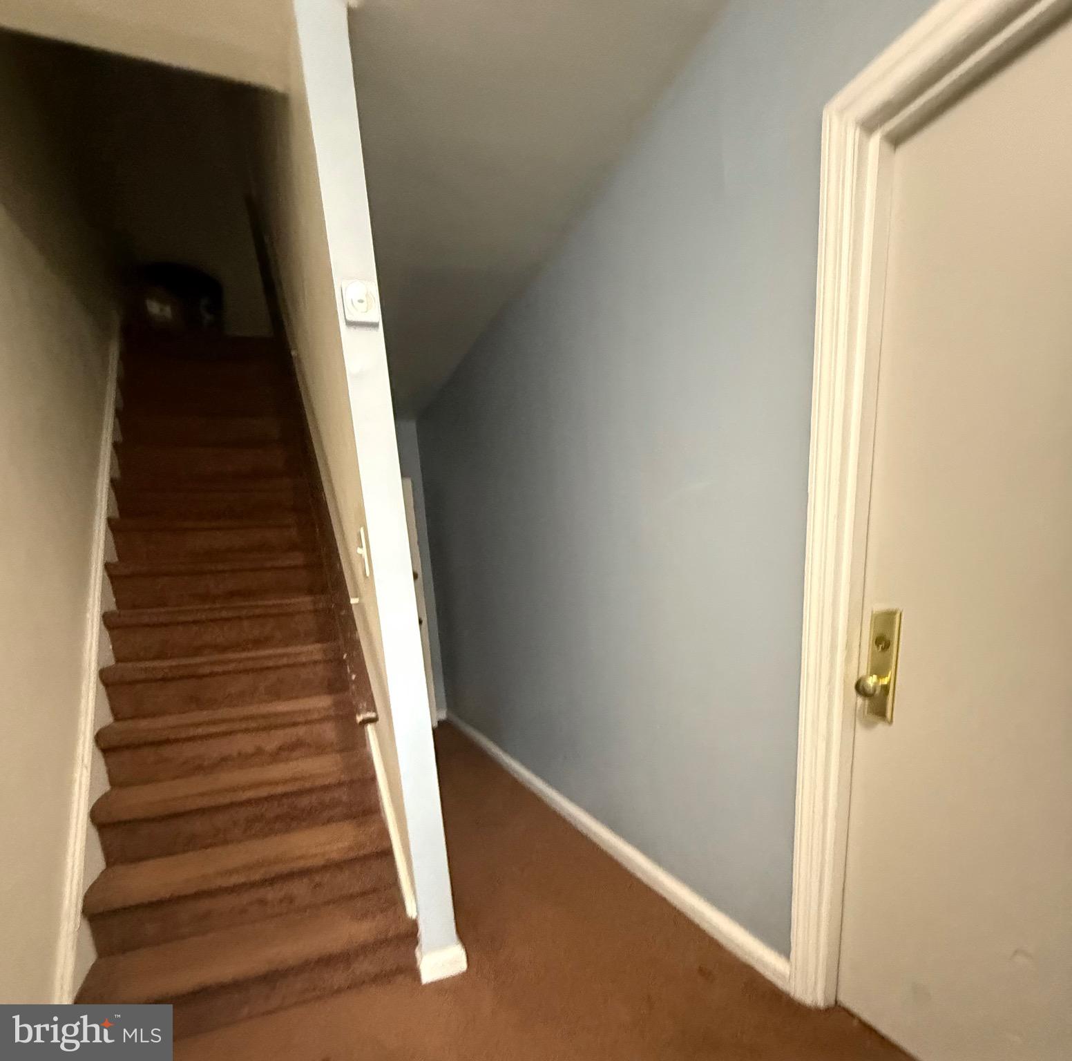 852 WINDERMERE AVENUE