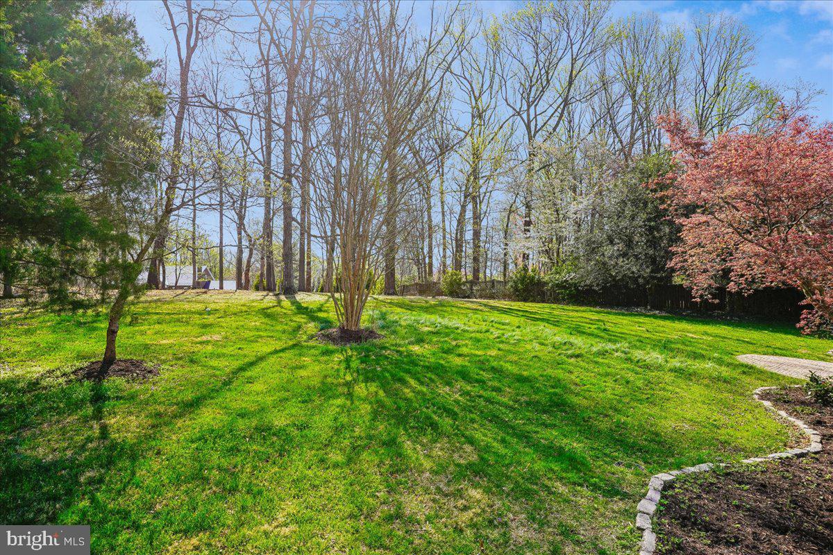 GEORGETOWN PLACE - Residential