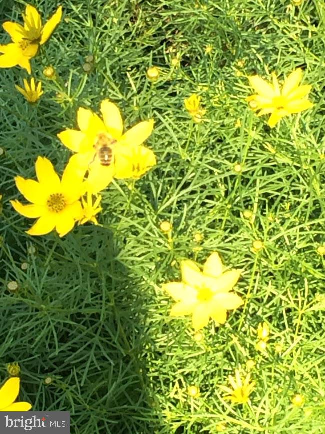 MADONNA MANOR - Residential