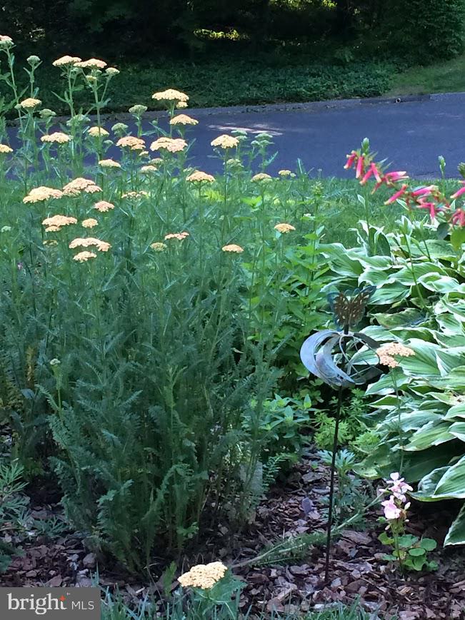 MADONNA MANOR - Residential