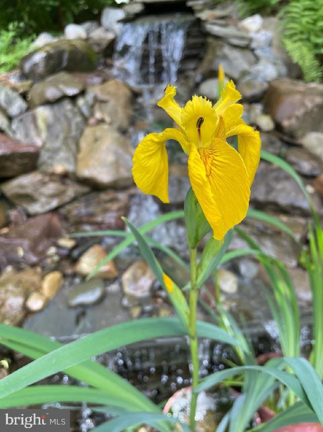 MADONNA MANOR - Residential