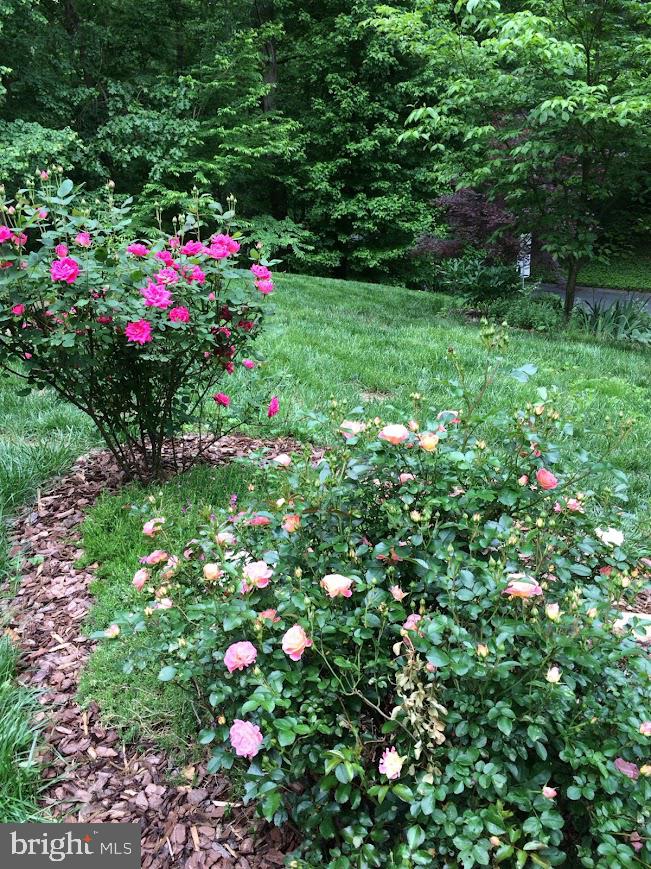 MADONNA MANOR - Residential