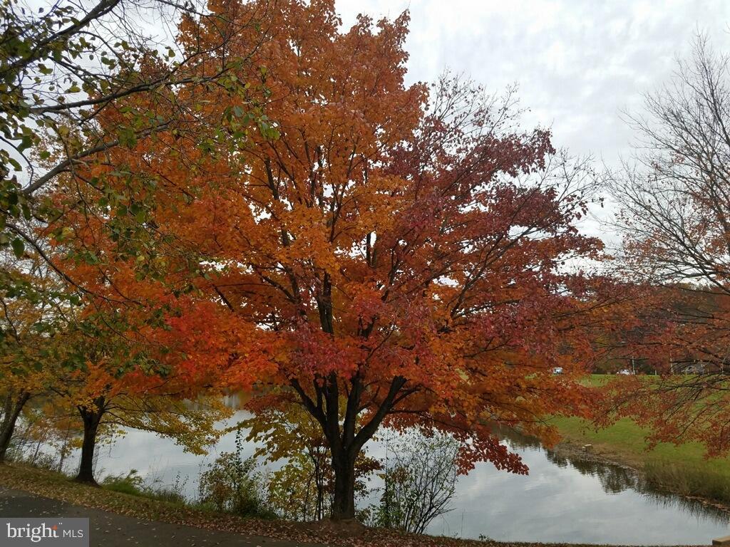 GUNNERS LAKE VILLAGE - Residential