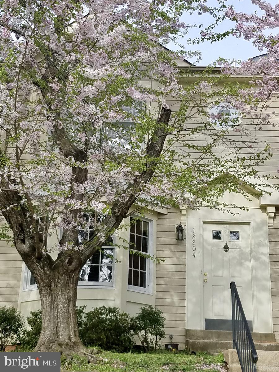 GUNNERS LAKE VILLAGE - Residential
