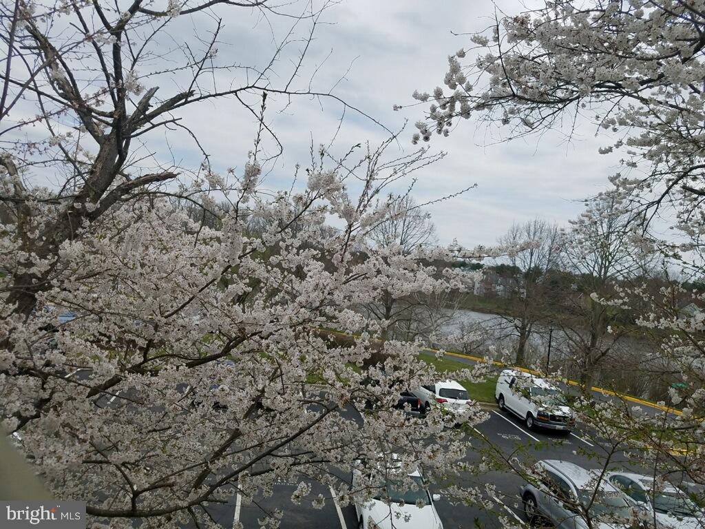 GUNNERS LAKE VILLAGE - Residential