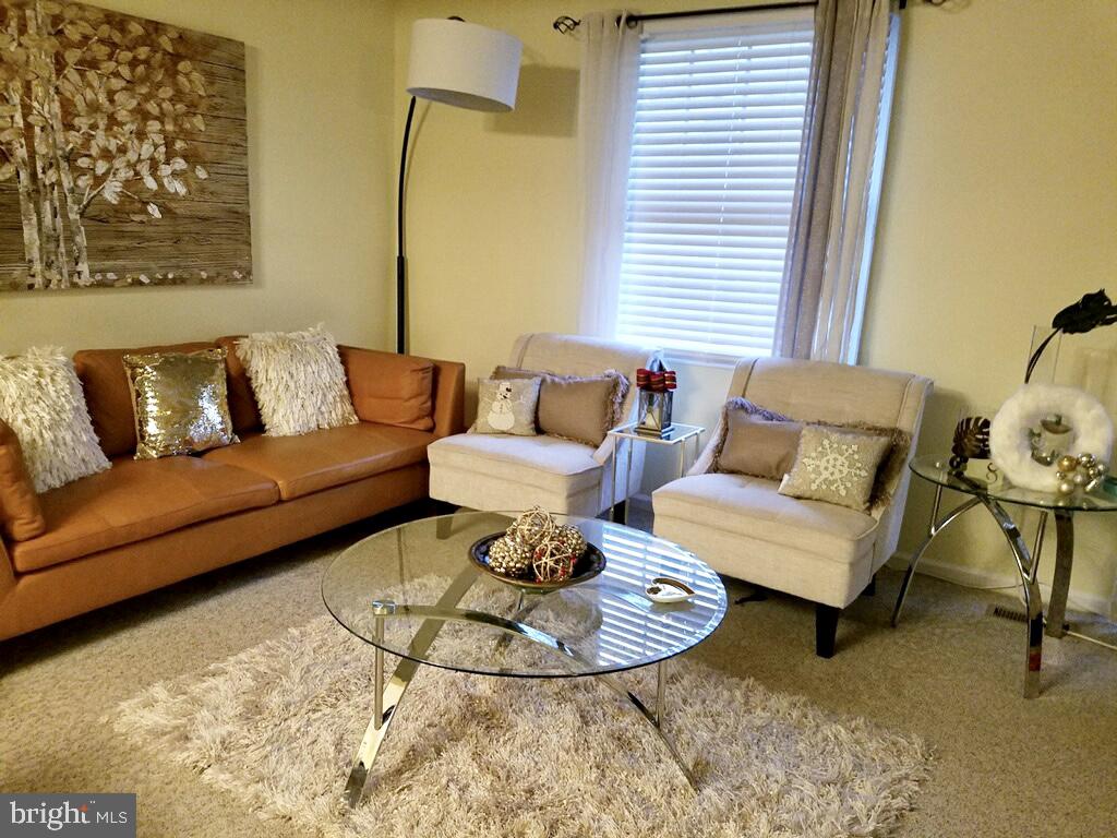 GUNNERS LAKE VILLAGE - Residential