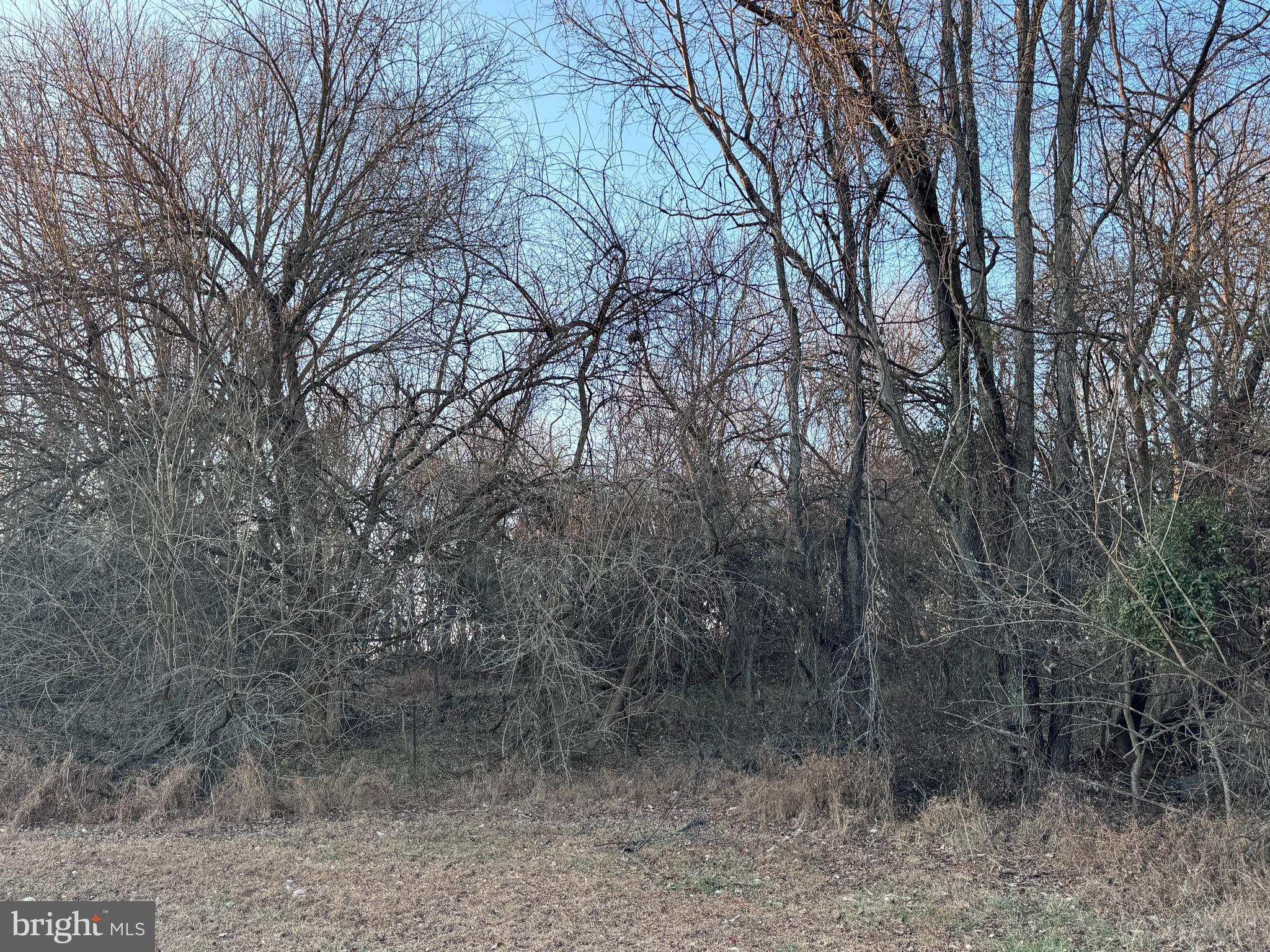 Lot 8-6.1 SHEPHERD LANE