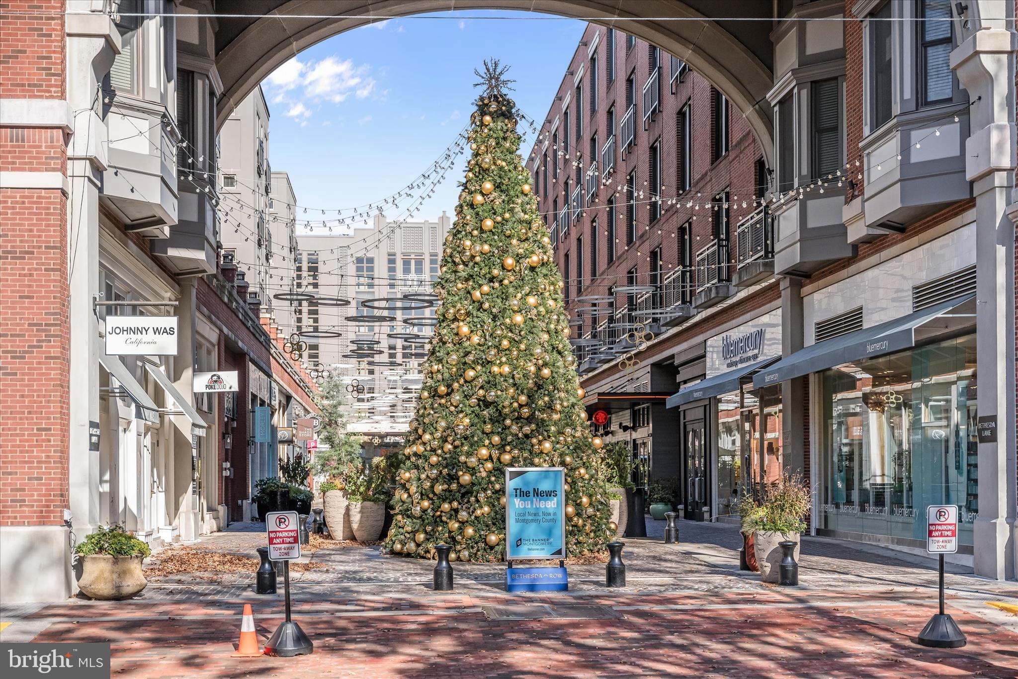 DOWNTOWN BETHESDA - Residential