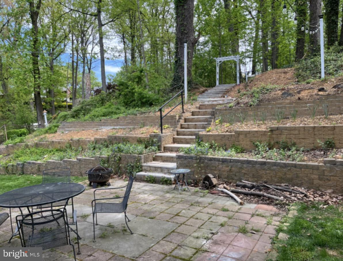 BELVEDERE - Residential Lease