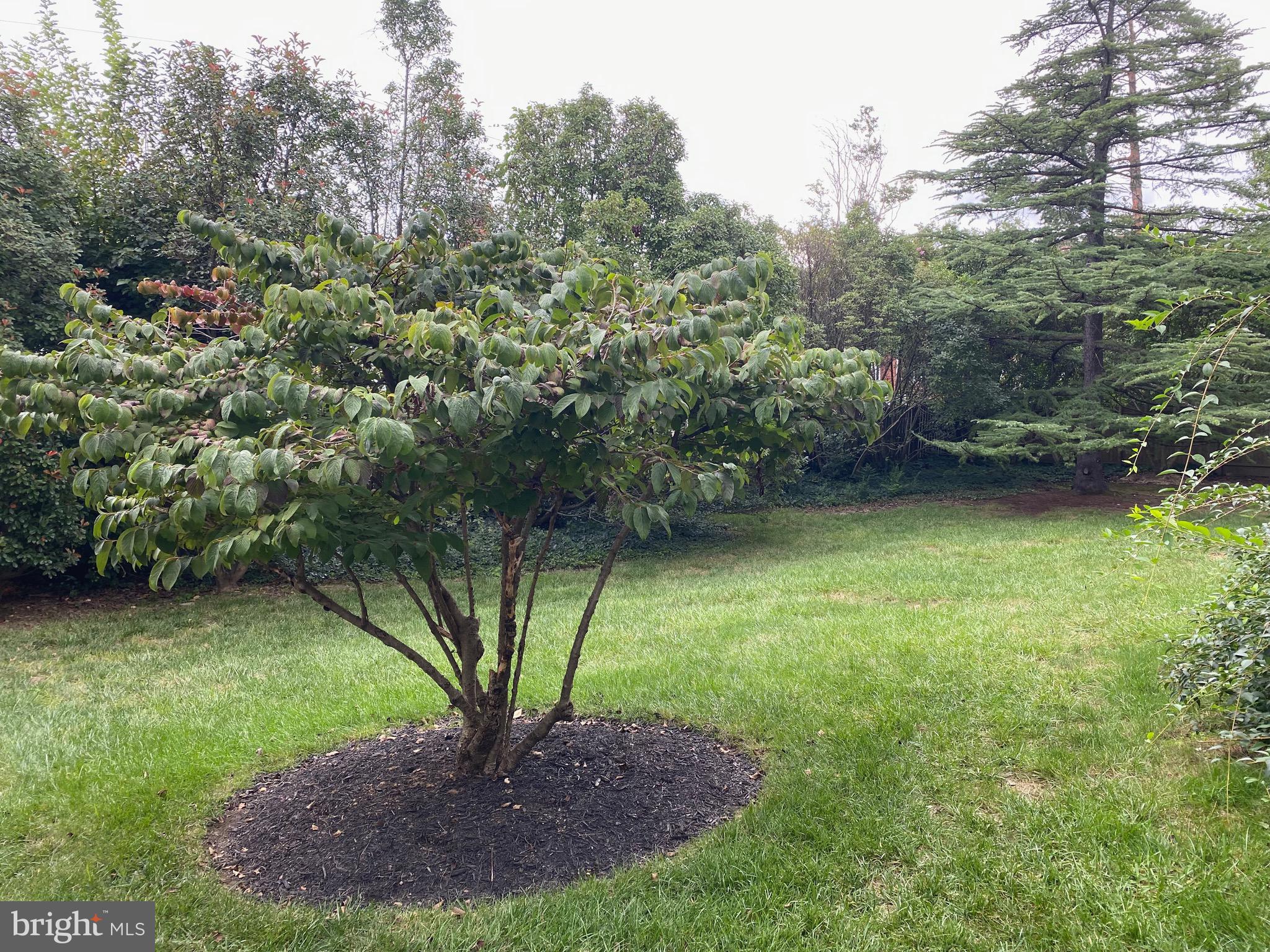 CARLYN SQUARE - Residential Lease