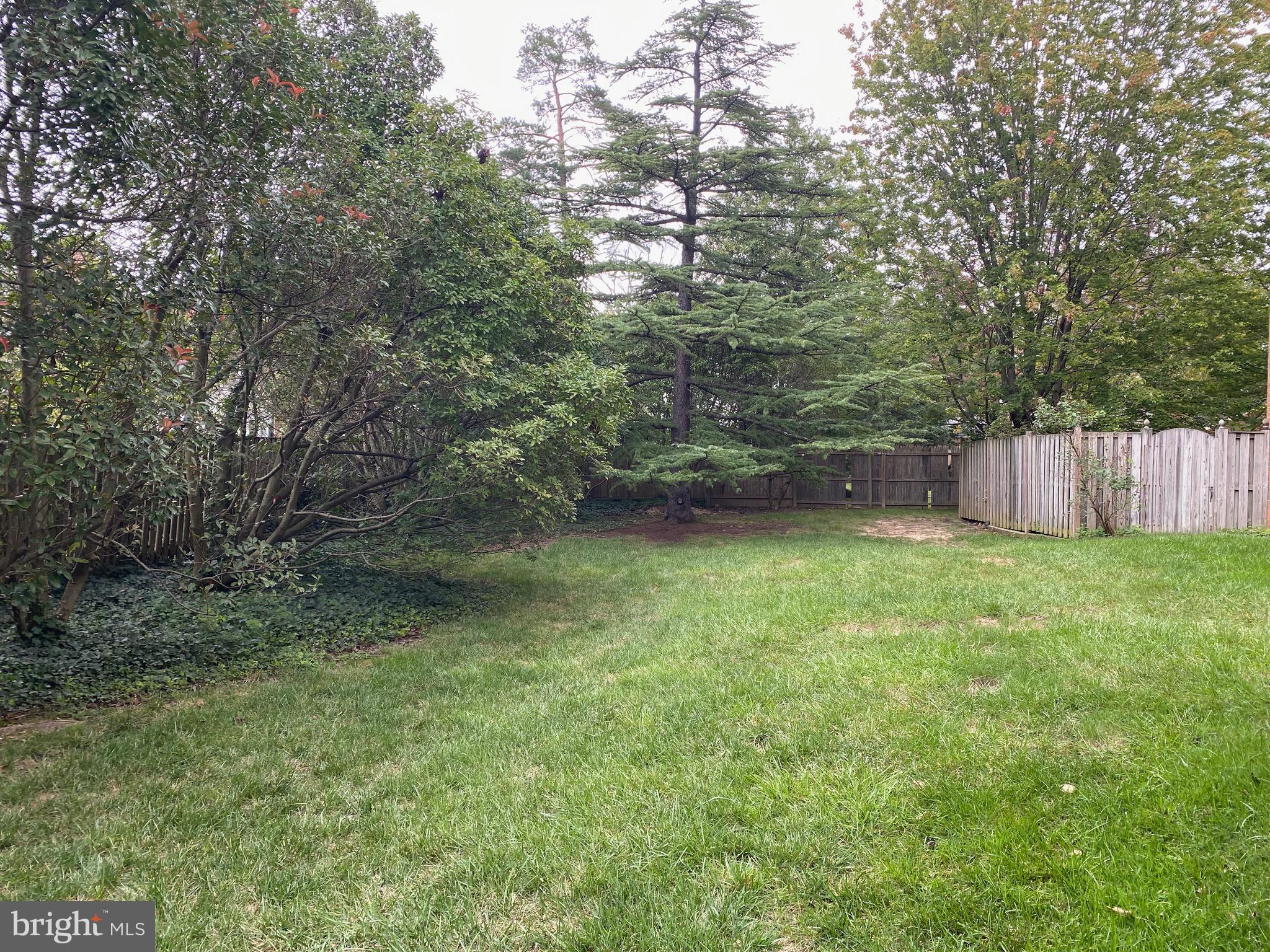 CARLYN SQUARE - Residential Lease