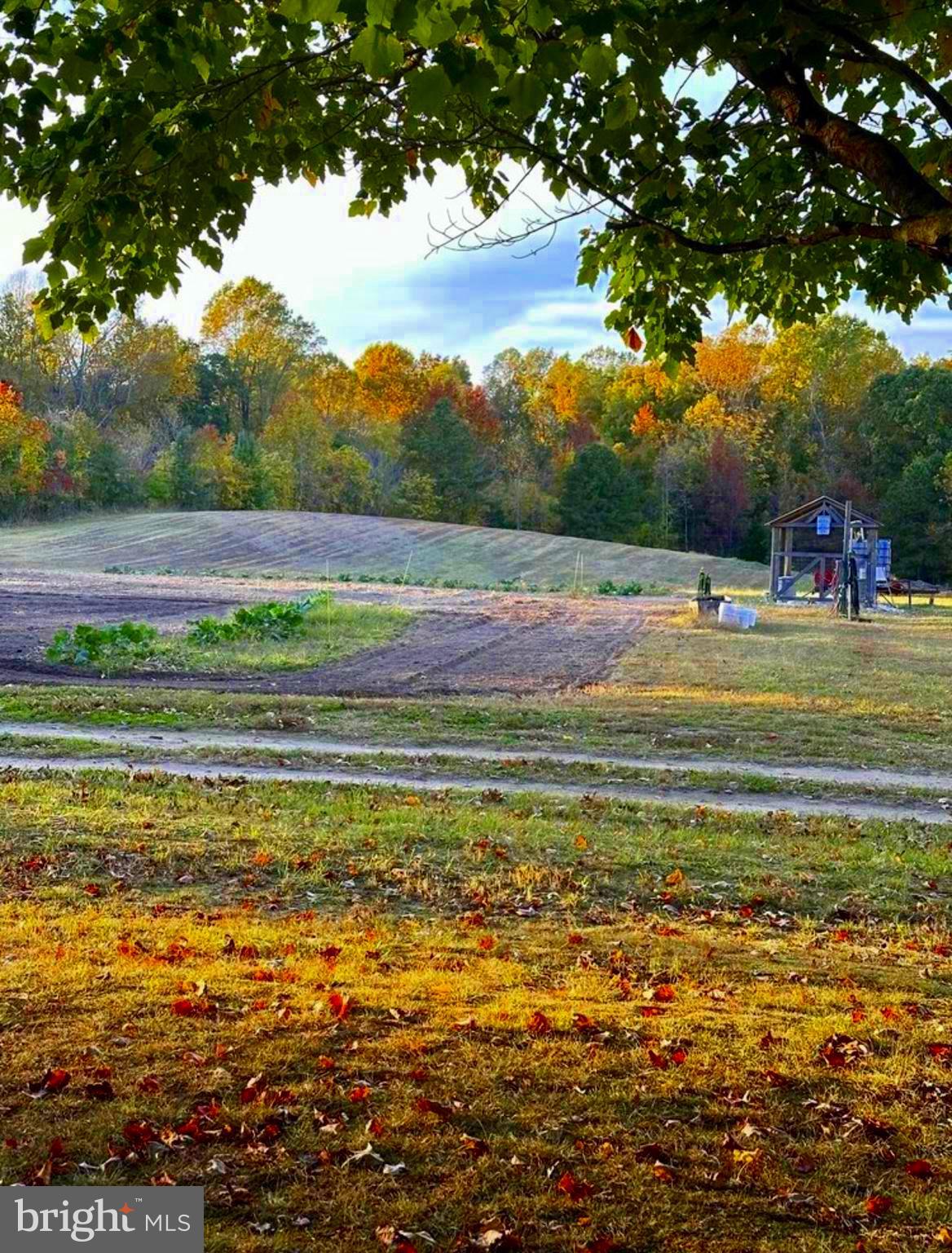 6310 SAINT LEONARD ROAD