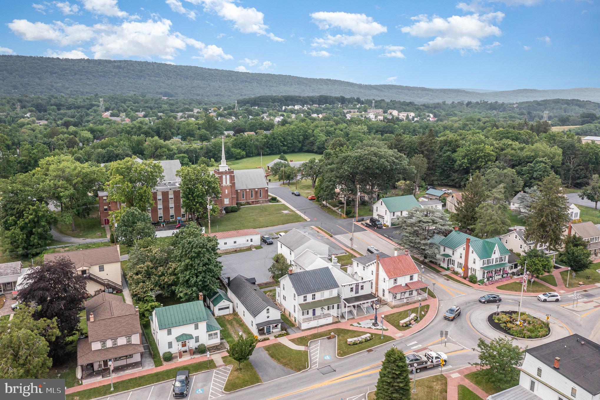 VILLAGE OF LINGLESTOWN - Commercial Sale