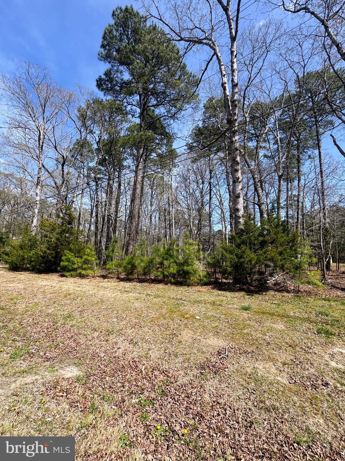 CAPTAIN'S COVE - Land